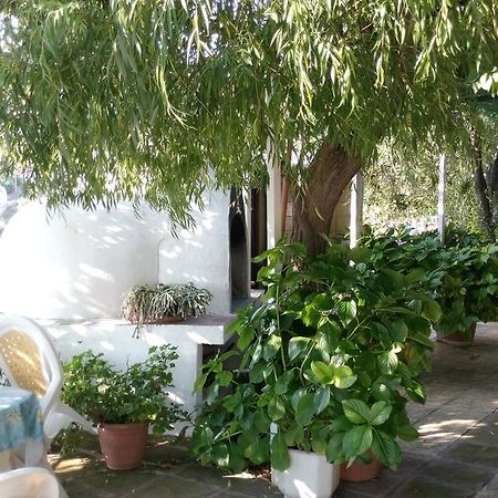Filoxenia Rooms Makrilies Exterior foto